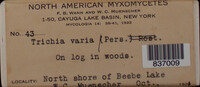 Image Associated With the Occurence